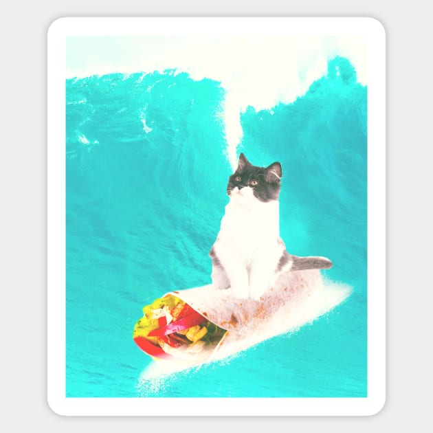 Kitty Cat Surfing Burrito Sticker by Random Galaxy